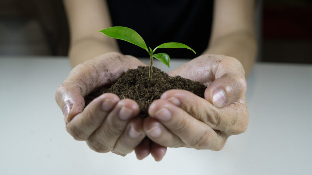 Jenis Tanggung Jawab Sosial CSR Perusahaan-womans-hands-holding-a-plant-growing-out-of-the-ground-green-seedling-growing-from-soil-ecology_t20_jXV92z Jenis Tanggung Jawab Sosial CSR Perusahaan.
